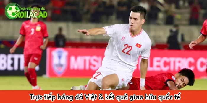 Trực tiếp bóng đá Việt - Kết quả bóng đá Việt Nam ngay trên Xoilac TV
